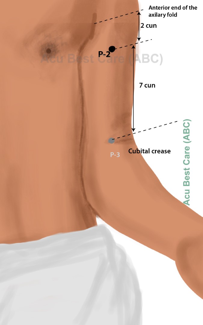 Acubestcare Meridian P-02 or PC-02